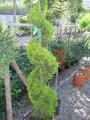 Vivaio Garden di S. Agata - Clicca per vedere l'album