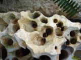 Pietra naturale  - Clicca per vedere